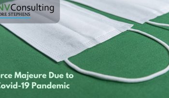 Implementation and Extension of the Period of Tax Administration Services in Force Majeure Due to Covid-19 Pandemic