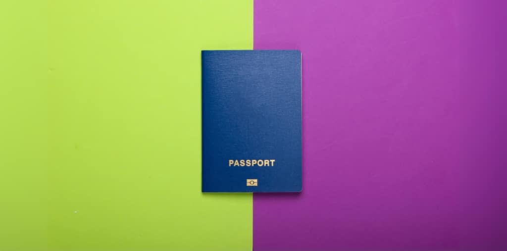 Director's Passport Verification in Tax Court_ Fair or Excessive